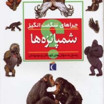 چراهای شگفت انگیز شمپانزه ها