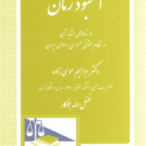 آمبودزمان : نهاد بازرسی و نظارت بر دستگاه های اجرایی و حکومتی(ابراهیم موسی زاده. فضل الله جوکار)