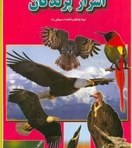 اسرار پرندگان (فاطمه سروش راد