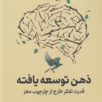 ذهن توسعه یافته : قدرت تفکر خارج از چارچوب مغز (آنی مورفی پل، فاطمه امیدی)