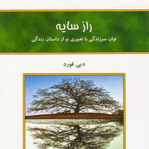 راز سایه : توان سرزندگی با تعبیری نو از داستان زندگی (دبی فورد . فرناز فرود)