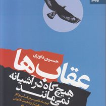 عقاب ها هیچ گاه در آشیانه نمی مانند : ایجاد تغییر در کسب و کار برای حرکت از وضع کنونی ( به وضعیت مطل