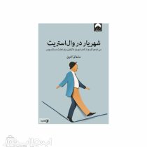 شهریار در وال استریت: سی ایده ی کلیدی از کتاب شهریار ماکیا ولی برای تجارت در بازار بورس(سلمان امین)