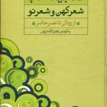 گنجینه ادب شعر کهن و شعر نو از رودکی تا عصر حاضر (فضل الله درویش)