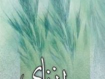 زندانی نای (مسعود سعد سلمان . دکتر سیروس شمیسا)