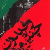 و فریدون چنین مردی بود (بهزاد دانشگر)