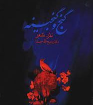 گنج و گنجینه: نثر شعر ( دکتر ذبیح الله صفا )