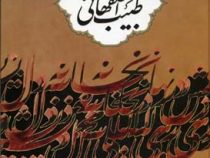 دیوان طبیب اصفهانی (عبدالباقی بن محمدرحیم طبیب اصفهانی)