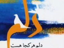 دلم هر کجا هست یادش بخیر (رضا عبداللهی)