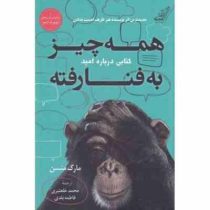 همه چیز به فنا رفته : کتابی درباره امید (مارک منسون، فاطمه بلدی . محمد خلعتبری)