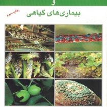 بیماری شناسی گیاهی و بیماری های گیاهی (علی روستایی)