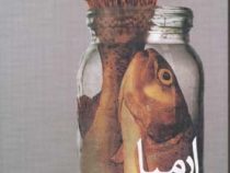 ارمیا (رضا امیرخانی)