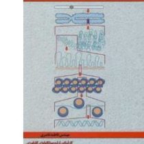 راهنمای نظری و عملی استخراج DNA(مهندس فاطمه ناصری)