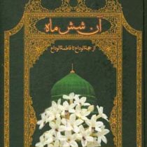 آن شش ماه (از حجه الوداع تا فاطمه الوداع)