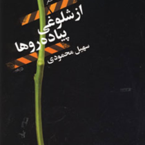 از شلوغی پیاده روها (سهیل محمودی)