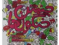 جشن خنگول ها (هنر درمانی رنگ آمیزی سحر آمیز)