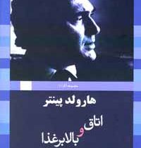 اتاق و بالابر غذا (هارلود پینتر . رضا دادویی)