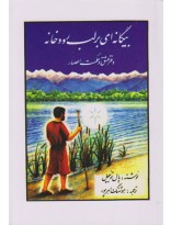 بیگانه ای بر لب رودخانه : دفتر عشق و حکمت اعصار( پال تو ئیچل . هوشنگ اهر پور )