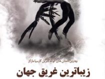 زیباترین غریق جهان (همراه با دوازده داستان دیگر)، (گابریل گارسیا مارکز، رضا دادویی)