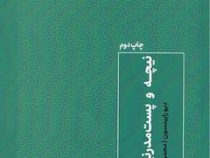 نیچه و پست مدرنیسم : مواجهات پست مدرن (دیو رابینسون . محمود مقدس)