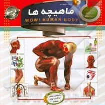 دانستنی هایی درباره بدن انسان قلب و گردش خون سی دی