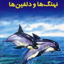 دانستنی هایی درباره ی نهنگ ها و دلفین ها