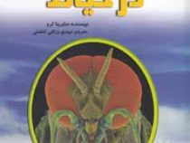 زیر میکروسکوپ در حیاط (سابرینا کرو، مهدی رزاقی کاشانی)