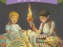 خانه درختی اسرار آمیز 3 مومیایی ها در صبح