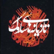 تازیانه های سلوک (نقد و تحلیل چند قصیده از حکیم سنائی)