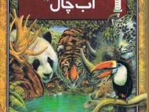 آب چال (گرم بیس، فواد نظیری)