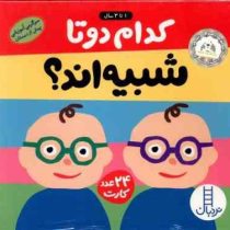 24 عدد کارت کدام دوتا شبیه اند؟ 2 سال پیش دبستان