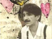 دومرغابی درمه حسین پناهی ()