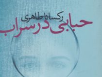 حبابی در سراب (رکسانا طاهری)
