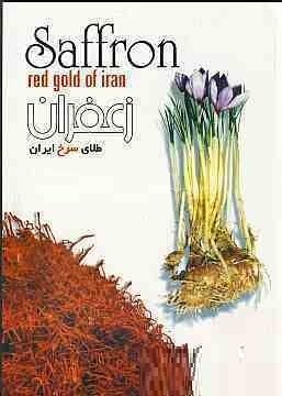 زعفران طلای سرخ ایران saffron red gold of iran (تراب امیر قاسمی)