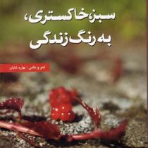 سبز، خاکستری، به رنگ زندگی