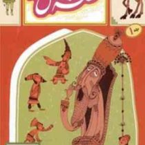 قصه ما مثل شد جلد 1 (محمد میرکیانی)