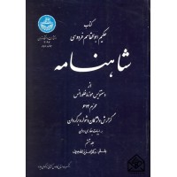 شاهنامه جلد سوم : از دستنویس موزه فلورانس محرم 614 : گزارش واژگان دشوار و برگردان همه ابیات بفارسی ر