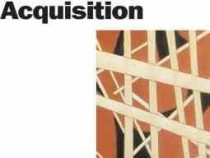 The Handbook of second Language Acquisition (Catherine J. Doughty . Michael H. Long)