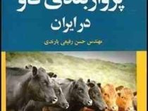 اصول پرواربندی گاو در ایران (مهندس حسن رفیعی یارندی)