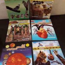 اسرار شگفت انگیز پرندگان (نارنج)