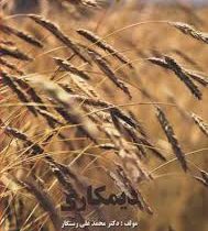 دیمکاری (محمد علی رستگار)