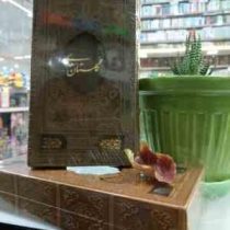 گلستان سعدی (مصطفی اشرفی . مهدی فیروزخانی)