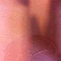 برگزیده رمان های کلاسیک جهان زنان کوچک