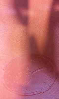 برگزیده رمان های کلاسیک جهان زنان کوچک