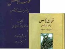 نفحات الانس من حضرات القدس (نورالدین عبدالرحمان جامی . محمود عابدی)