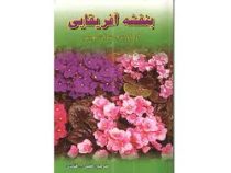بنفشه آفریقایی (شرکت مورس . فضل الله قنادی)