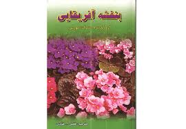 بنفشه آفریقایی (شرکت مورس . فضل الله قنادی)