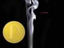 Looking for Alaska به دنبال آلاسکا