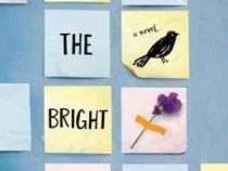 All the Bright Places همه مکانهای روشن