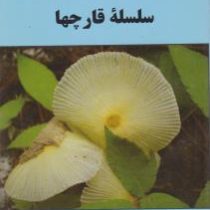 سلسله قارچها (سید اکبر خداپرست)